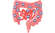 prebiotics_2_3_preventstomachupset