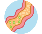 probiotics_2_3_acidicenvironment_0