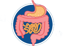 probiotics_2_8_regulateimmunity_v2